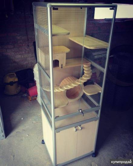 Как правильно выбрать клетку или витрину для шиншиллы