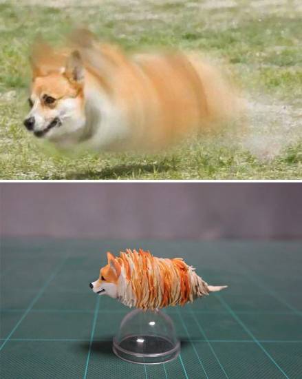 Самые известные животные, ставшие мемами