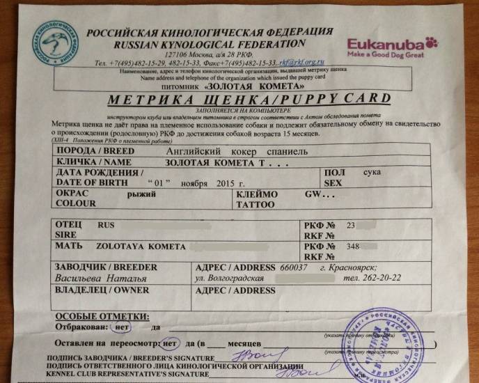 Как получить документы на собаку в ркф— паспорт, родословная, акт вязки и другие