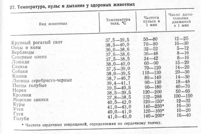 Температура тела - нормальная, повышенная и пониженная | университетская клиника