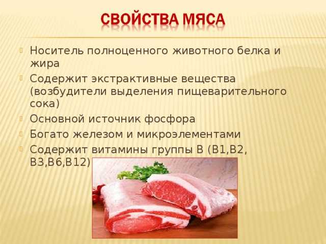 Мясо кролика — польза и вред, состав, правила выбора свежей крольчатины