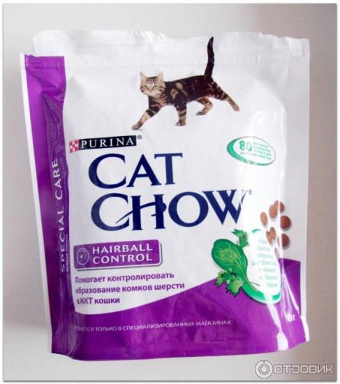 Корм для кошек при запорах: особенности лечебного питания и меры профилактики