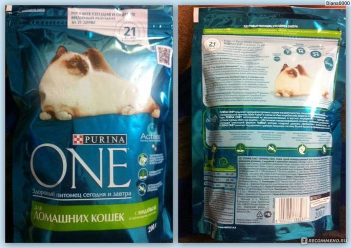 Недорогие корма для кошек