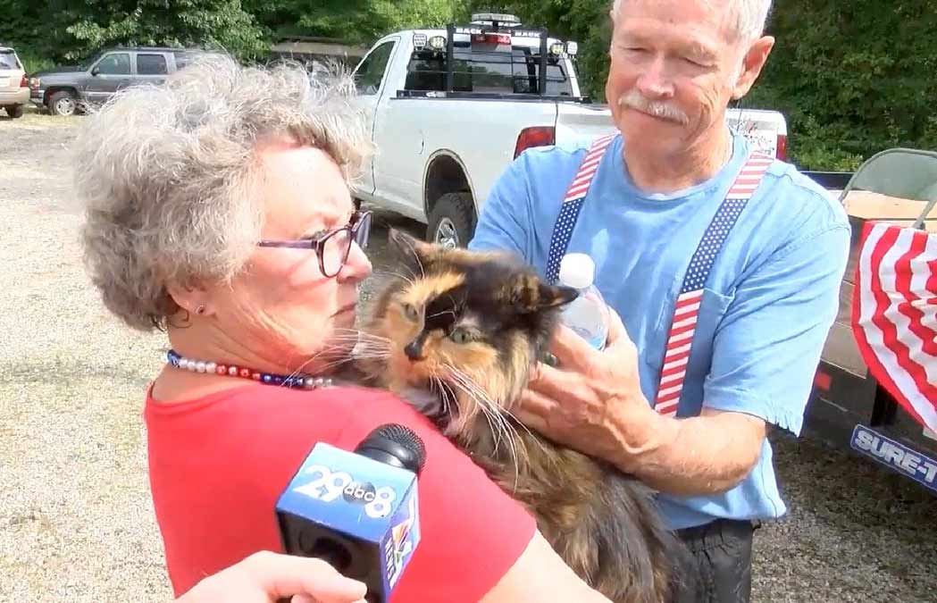 КотоДайджест на июль - все самое интересное