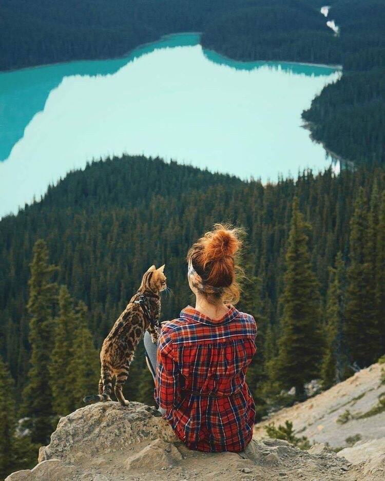 КотоДайджест на август - все самое интересное