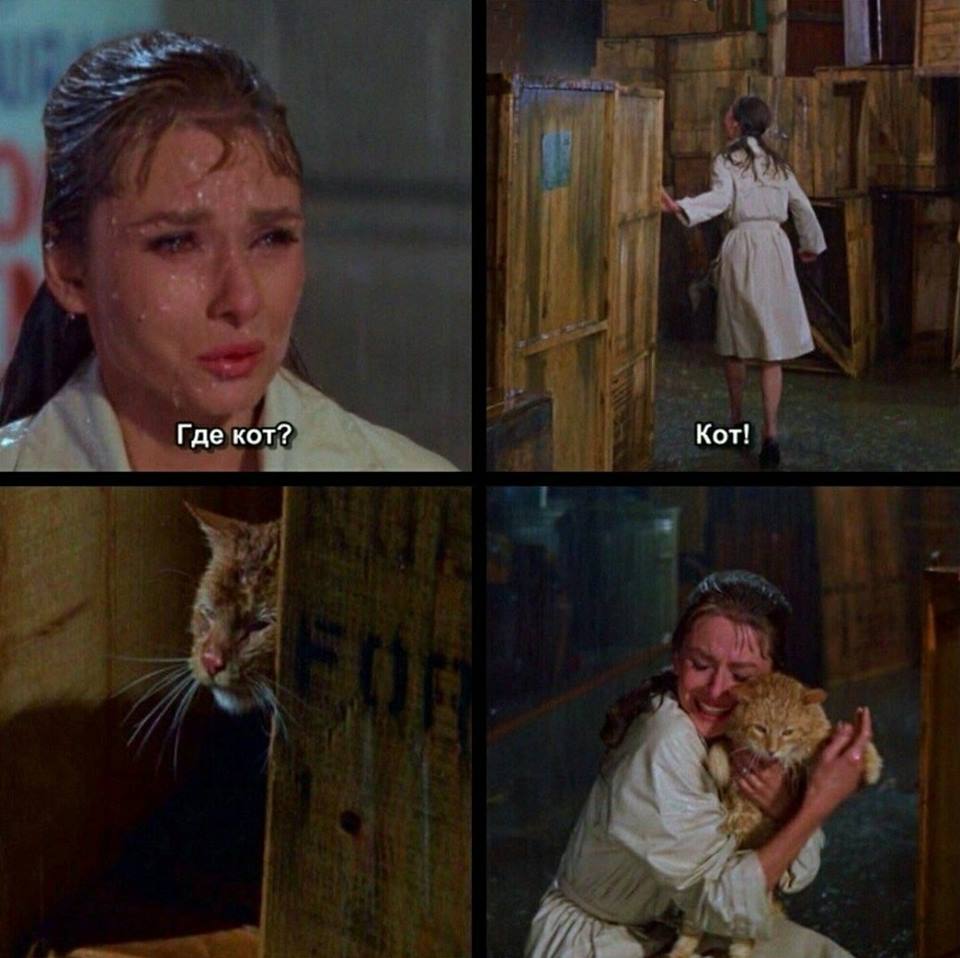 КотоДайджест на сентябрь - все самое интересное