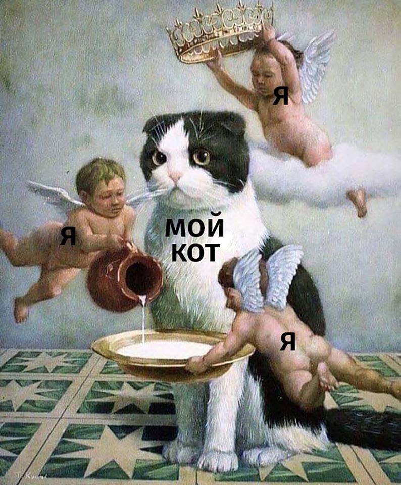 КотоДайджест новогодний выпуск - все самое интересное