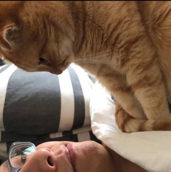 КотоДайджест новогодний выпуск - все самое интересное