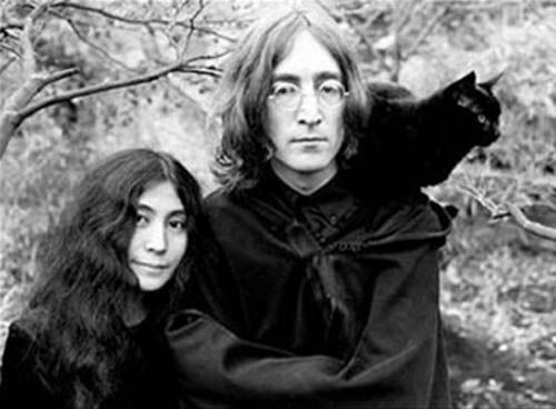 Кошки знаменитостей — известные музыканты и их кошки