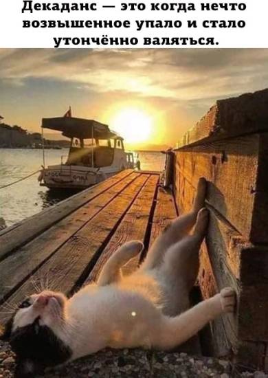 КотоДайджест на апрель - все самое интересное