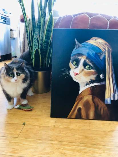 КотоДайджест на апрель - все самое интересное