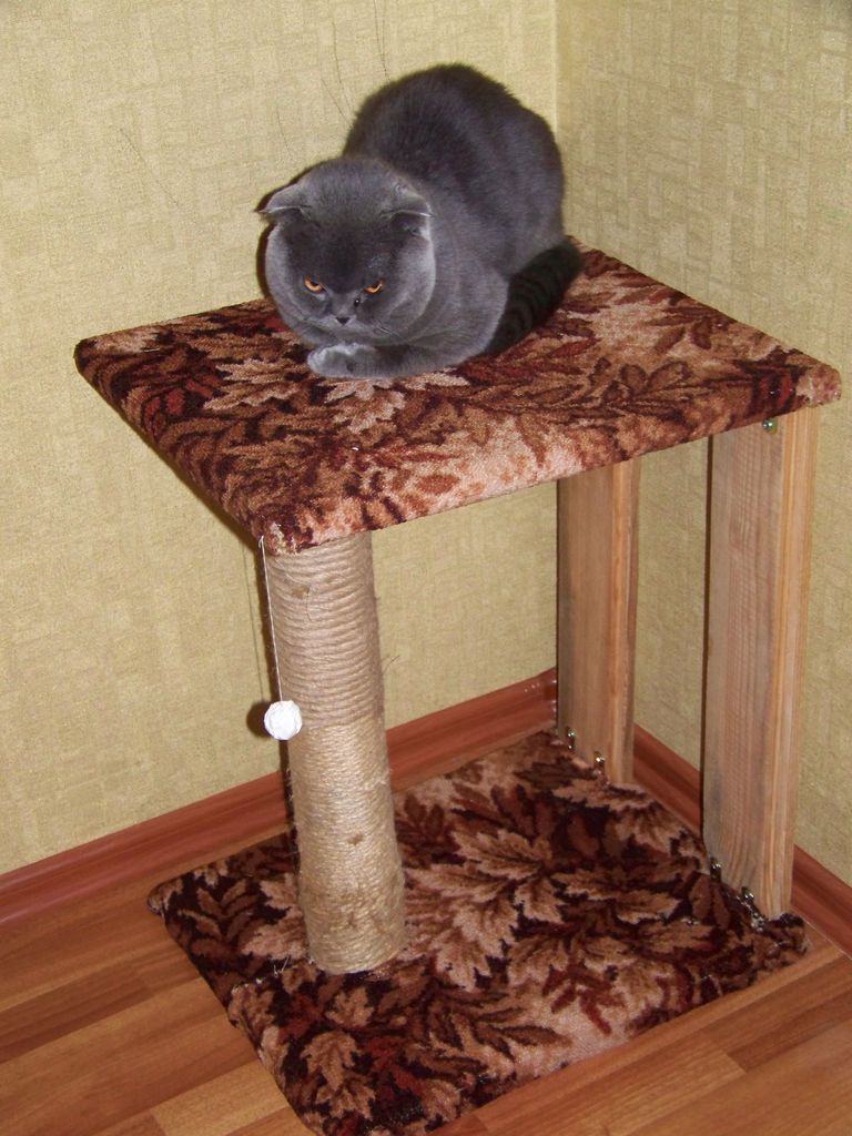 когтеточка когтеточка для кошек