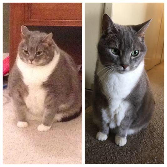 КотоДайджест на октябрь - все самое интересное