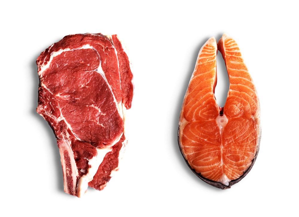 Обзор сухого корма Bosch Sanabelle DELICIOUS