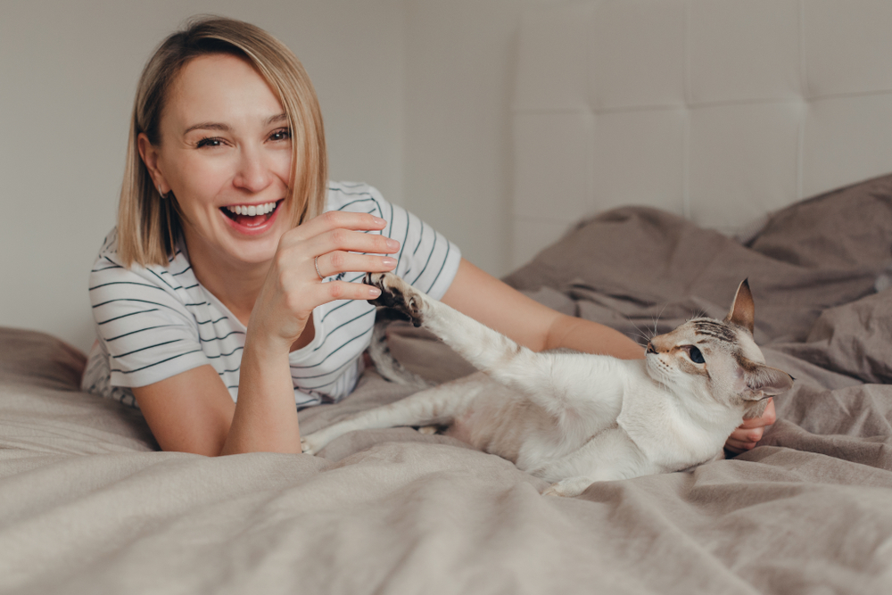 Ориентальная кошка: Восток - дело тонкое!