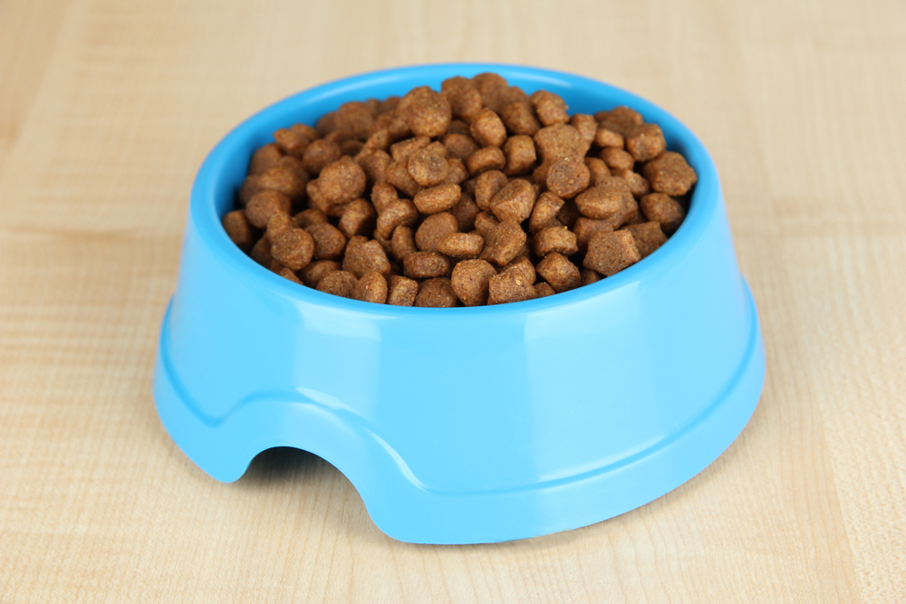 Обзор сухого корма Gina Wildy