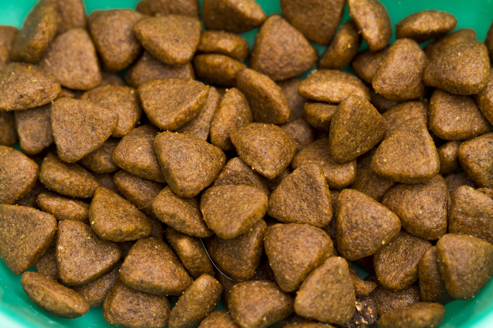 Топ 10 мифов о сухих кормах