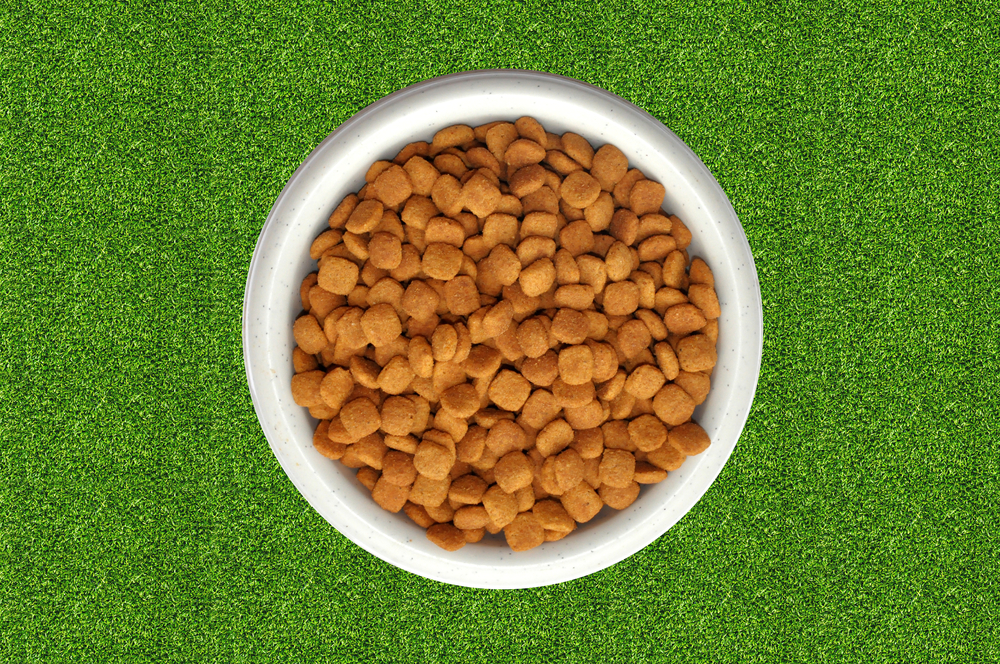 Nutra Gold Holistic - важно то, что внутри