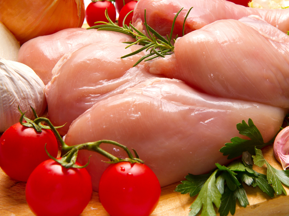 Обзор консервированного корма Berkley