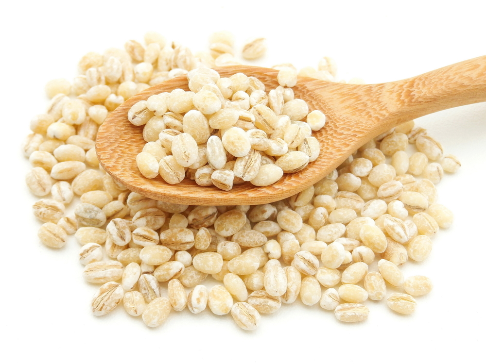 Обзор сухого корма Pronature Original