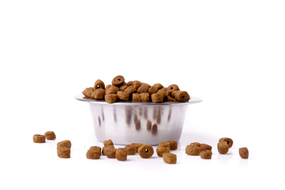 Обзор сухого корма Leonardo