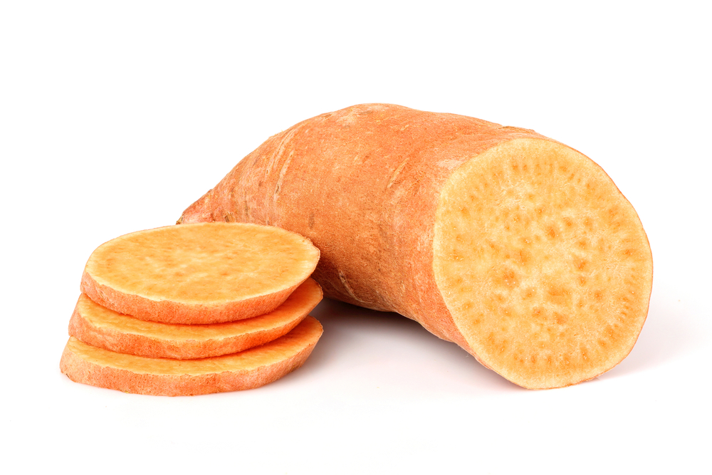 Обзор сухого корма Wildcat