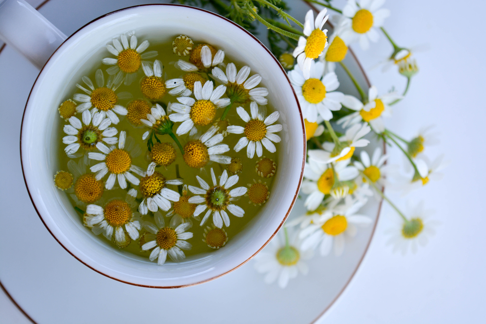 Водка, чай и сахарная пудра: как нельзя лечить кошек. Осторожно, в статье сплошное мракобесие!