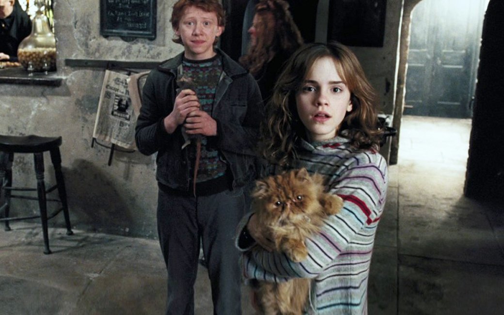 Известные коты из фильмов — фото и видео котов-актеров