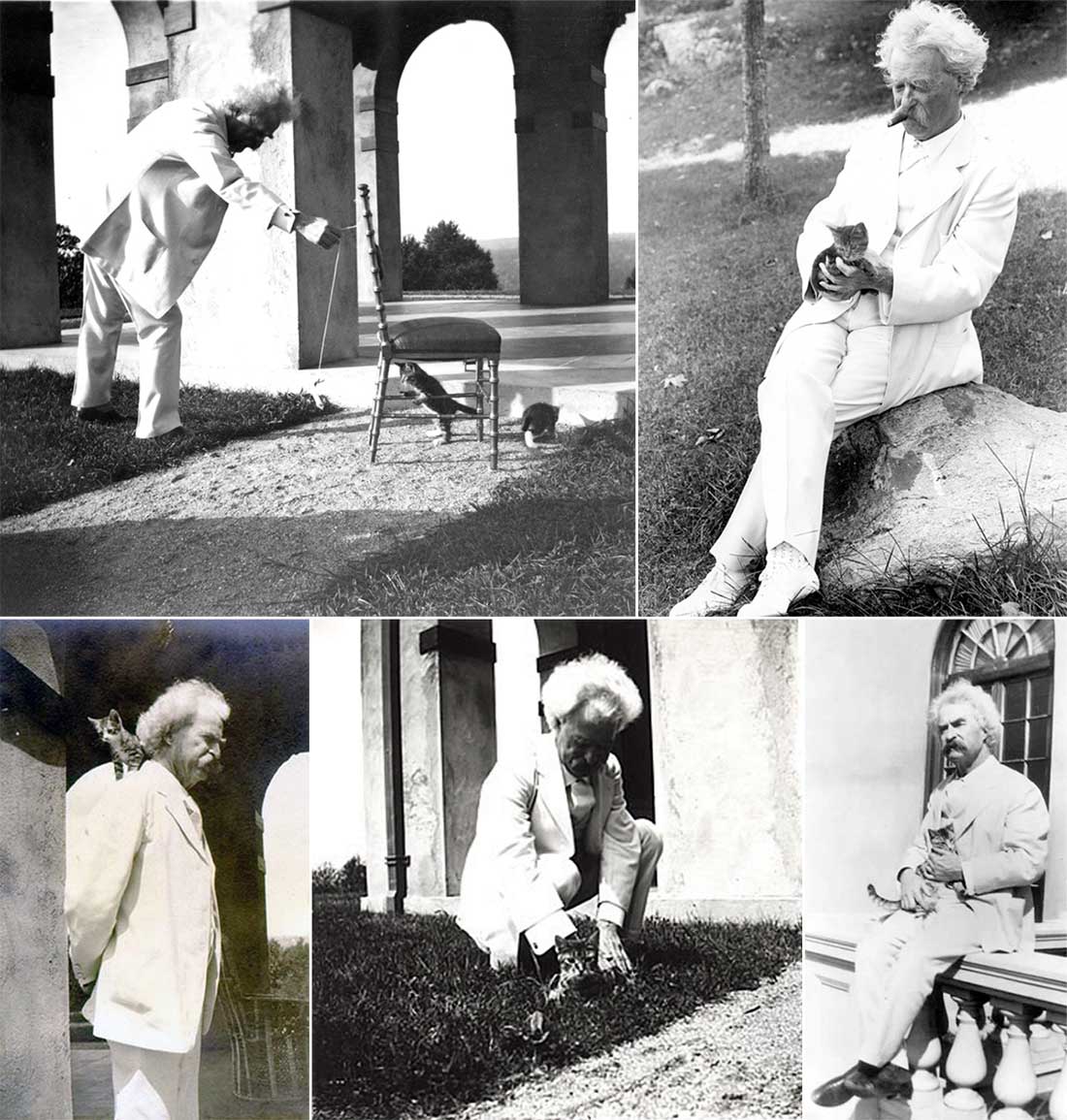 Коты писателей — фото писателей и их кошек