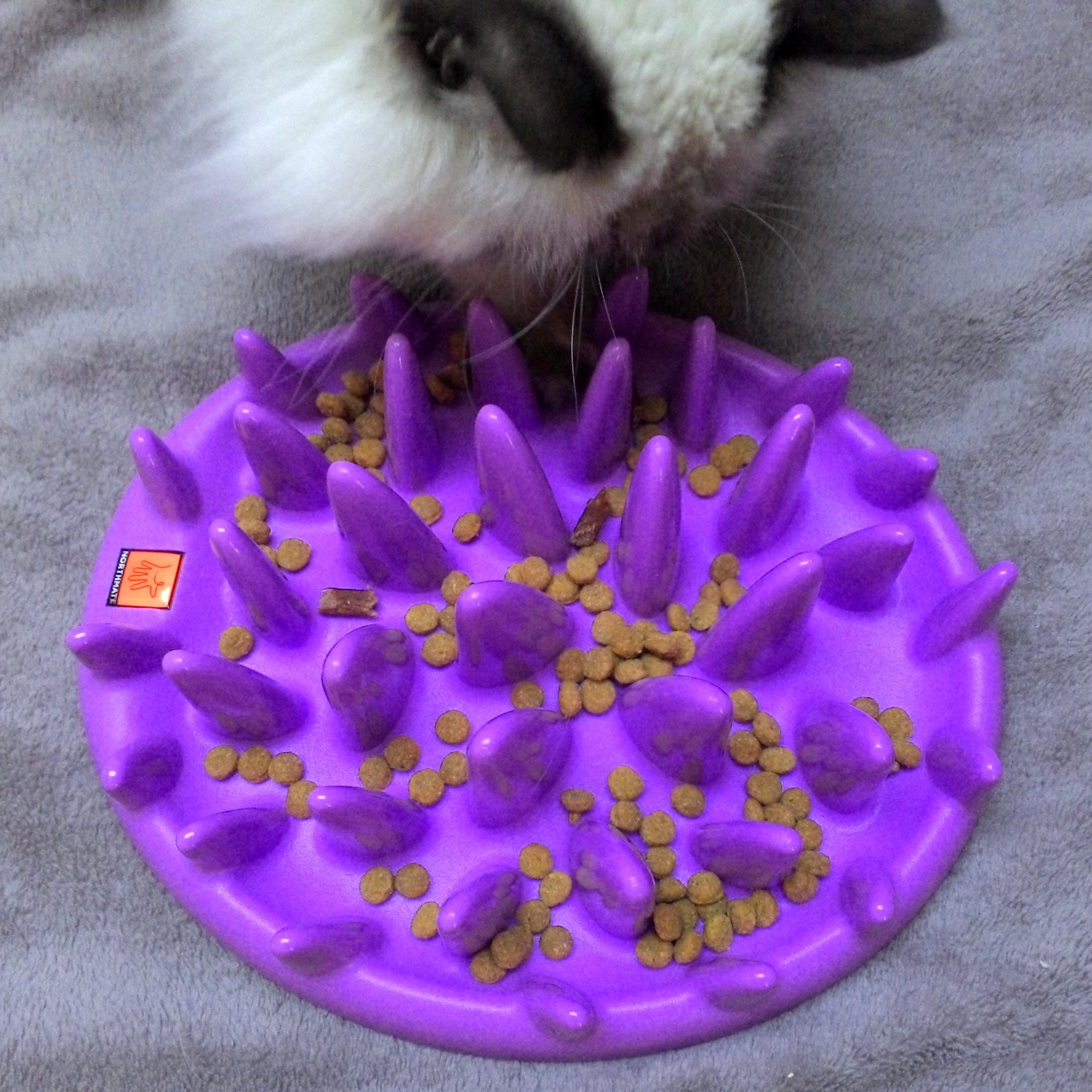 Интерактивные кормушки для кошек -NORTHMATE