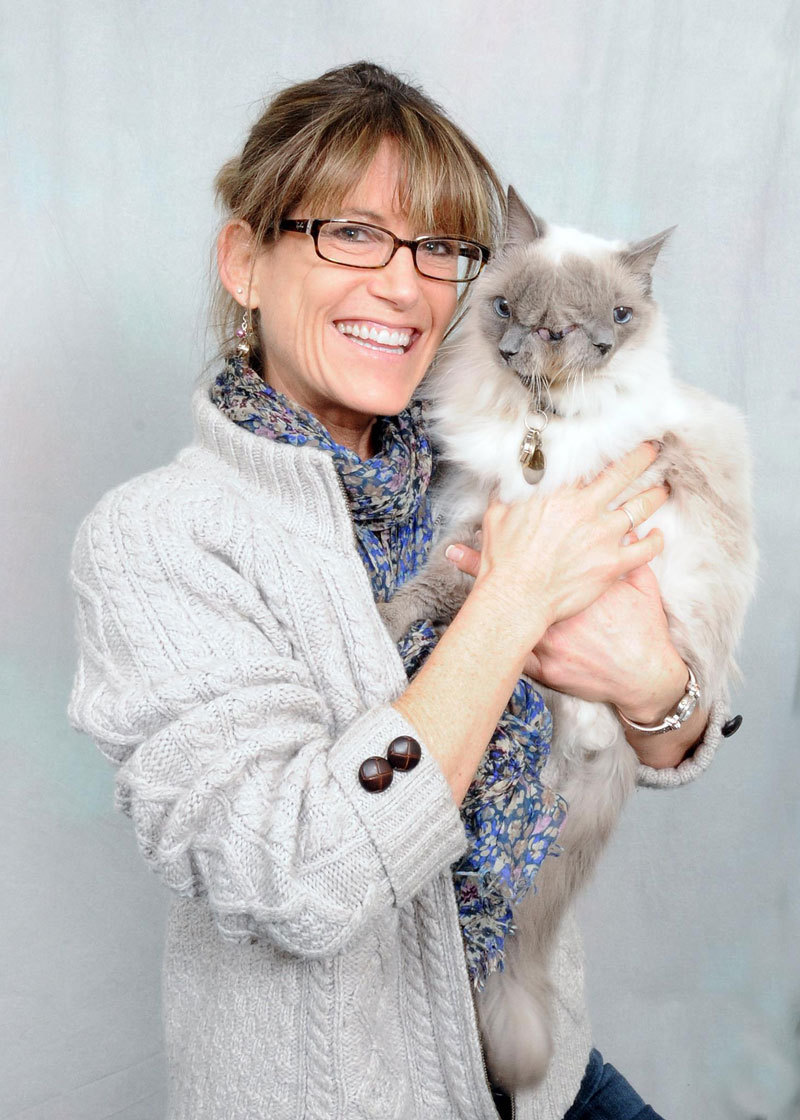 Не такие как все - 10 историй необычных кошек