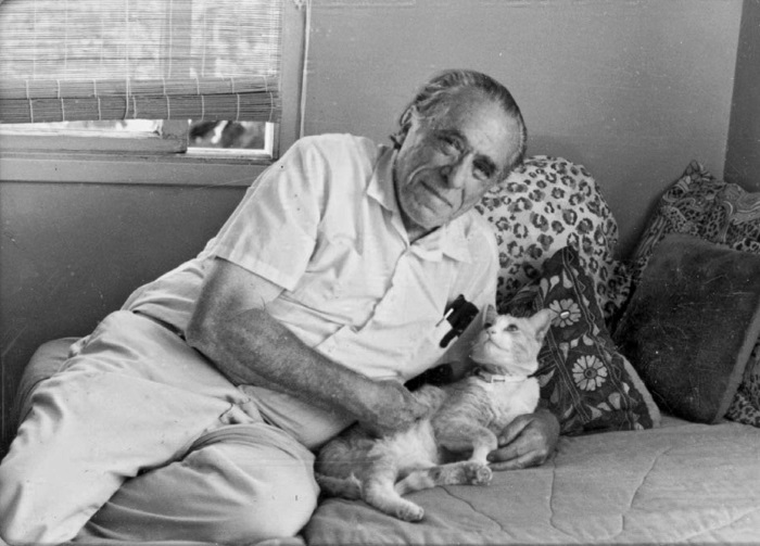 Коты писателей — фото писателей и их кошек