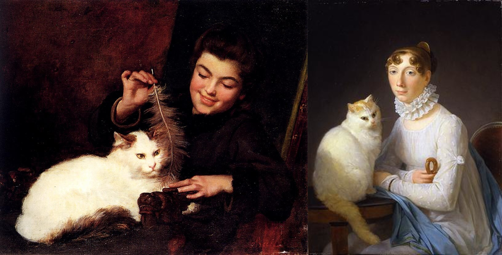 Турецкий ван: кошка-легенда