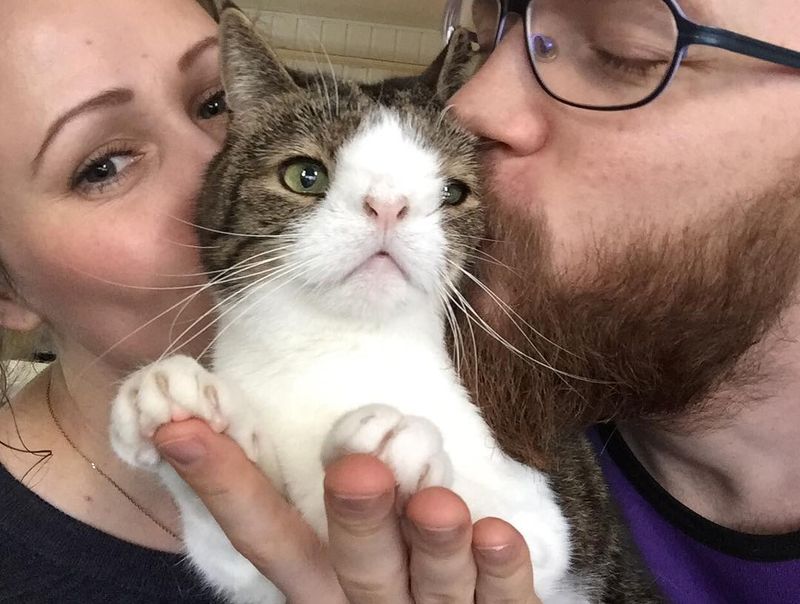 Не такие как все - 10 историй необычных кошек